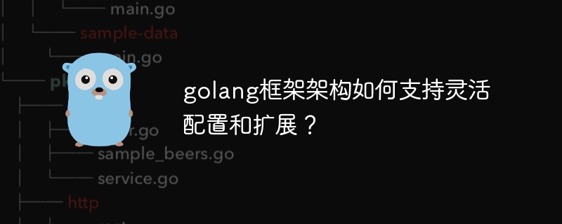 golang框架架构如何支持灵活配置和扩展?