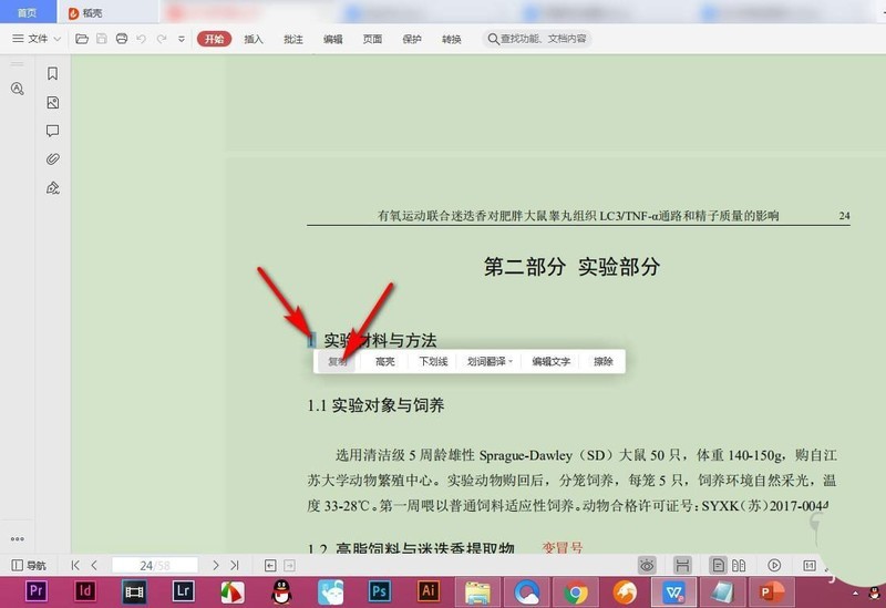 怎么查看WPS中字体样式 PDF文件字体的查询方法