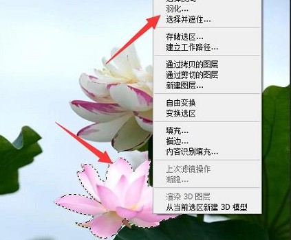 photoshop cs6羽化用不了怎么办 photoshop cs6羽化用不了的解决方法