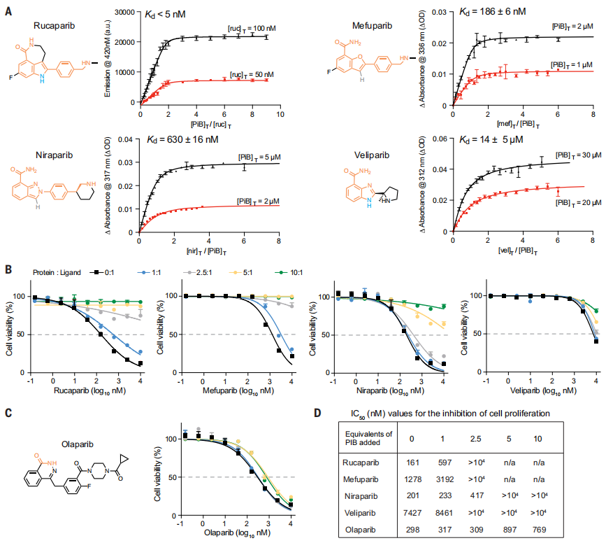 登Science，药物亲和力＜5纳摩尔，加州大学开发特异性药物结合蛋白的从头计算方法