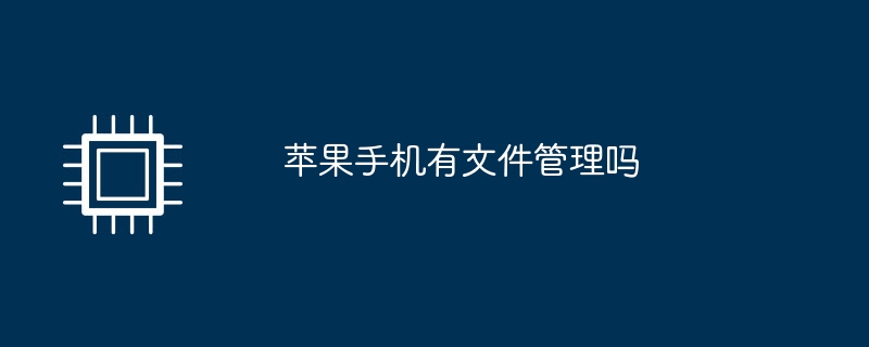 苹果手机有文件管理吗