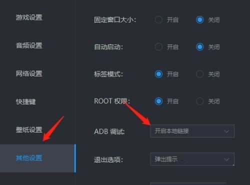 雷电模拟器怎么设置ADB调试_雷电模拟器设置ADB调试的方法