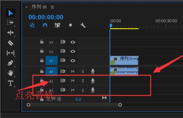 premiere怎么使用录音轨道 pr视频录制画外音的技巧