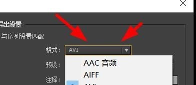 premiere素材导出到一定百分比卡住的处理方法