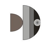 CorelDraw X4怎么绘制小鱼 CorelDraw X4绘制小鱼的方法