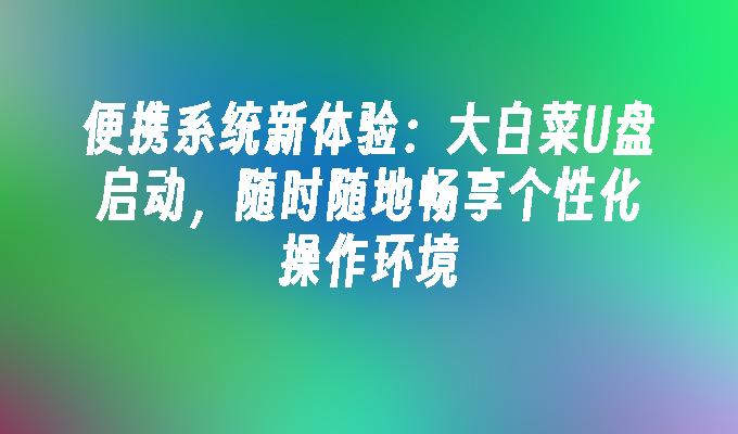 便携系统新体验:大白菜U盘启动,随时随地畅享个性化操作环境