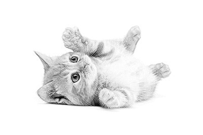 PS怎么做素描画效果_教你一招请记好