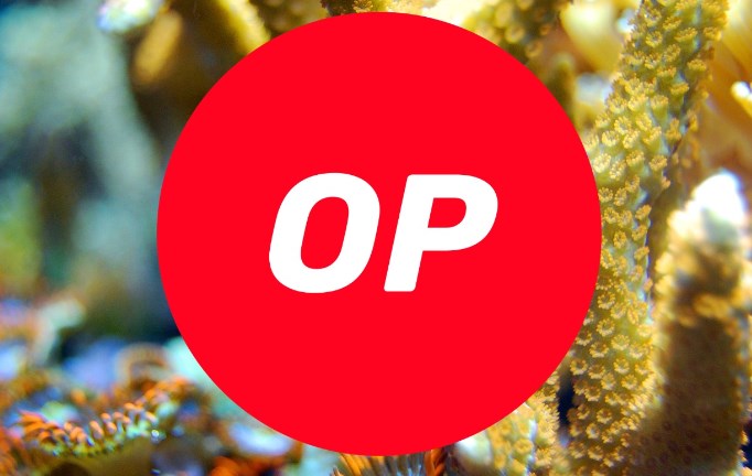 op币怎么获得
