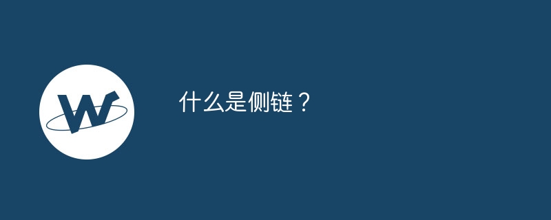 什么是侧链？