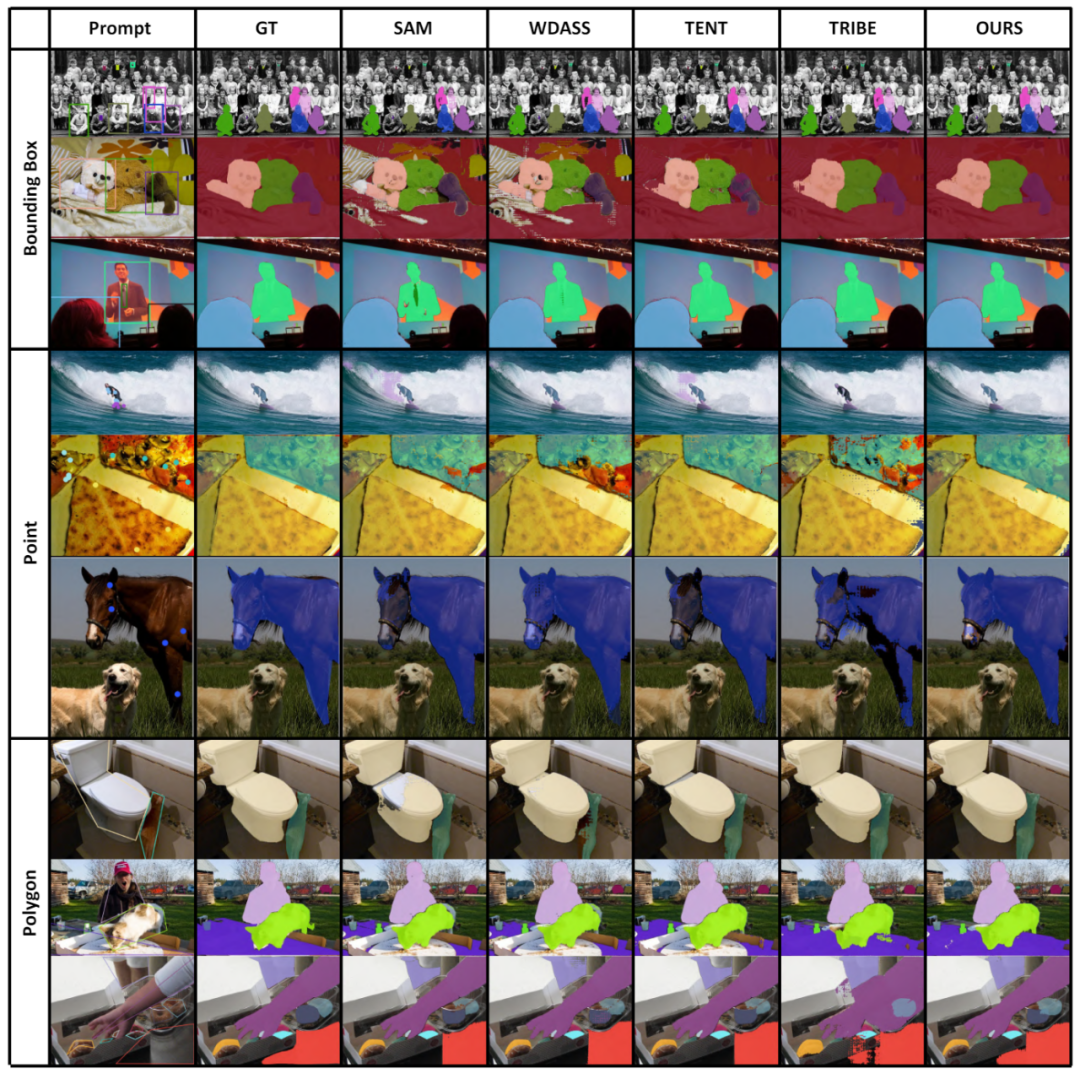CVPR 2024 | 分割一切模型SAM泛化能力差?域适应策略给解决了