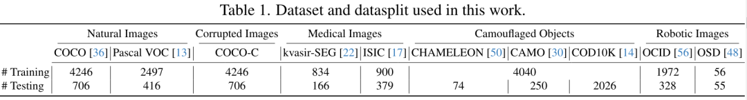 CVPR 2024 | 分割一切模型SAM泛化能力差?域适应策略给解决了