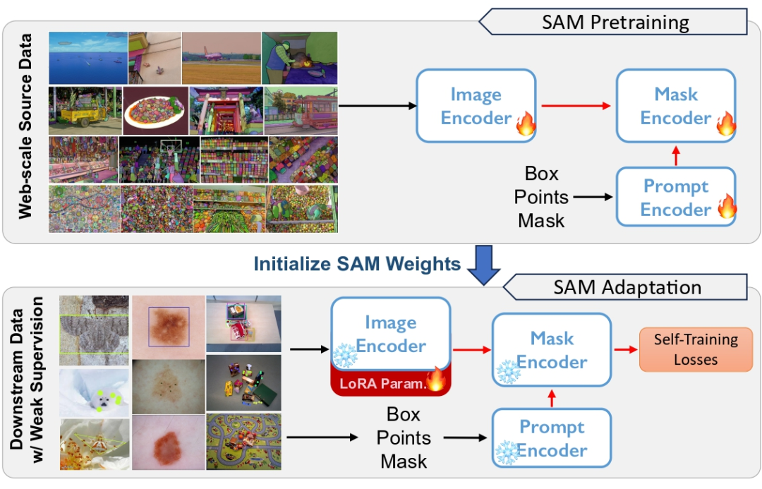 CVPR 2024 | 分割一切模型SAM泛化能力差?域适应策略给解决了