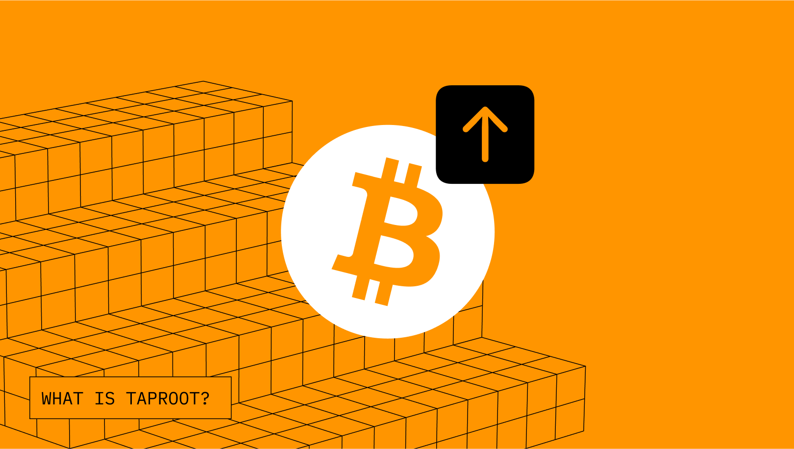 浅析Taproot Consensus：最原生、最去中心化的BTC L2解决方案