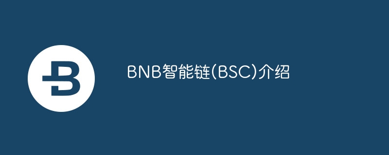 BNB智能链(BSC)介绍