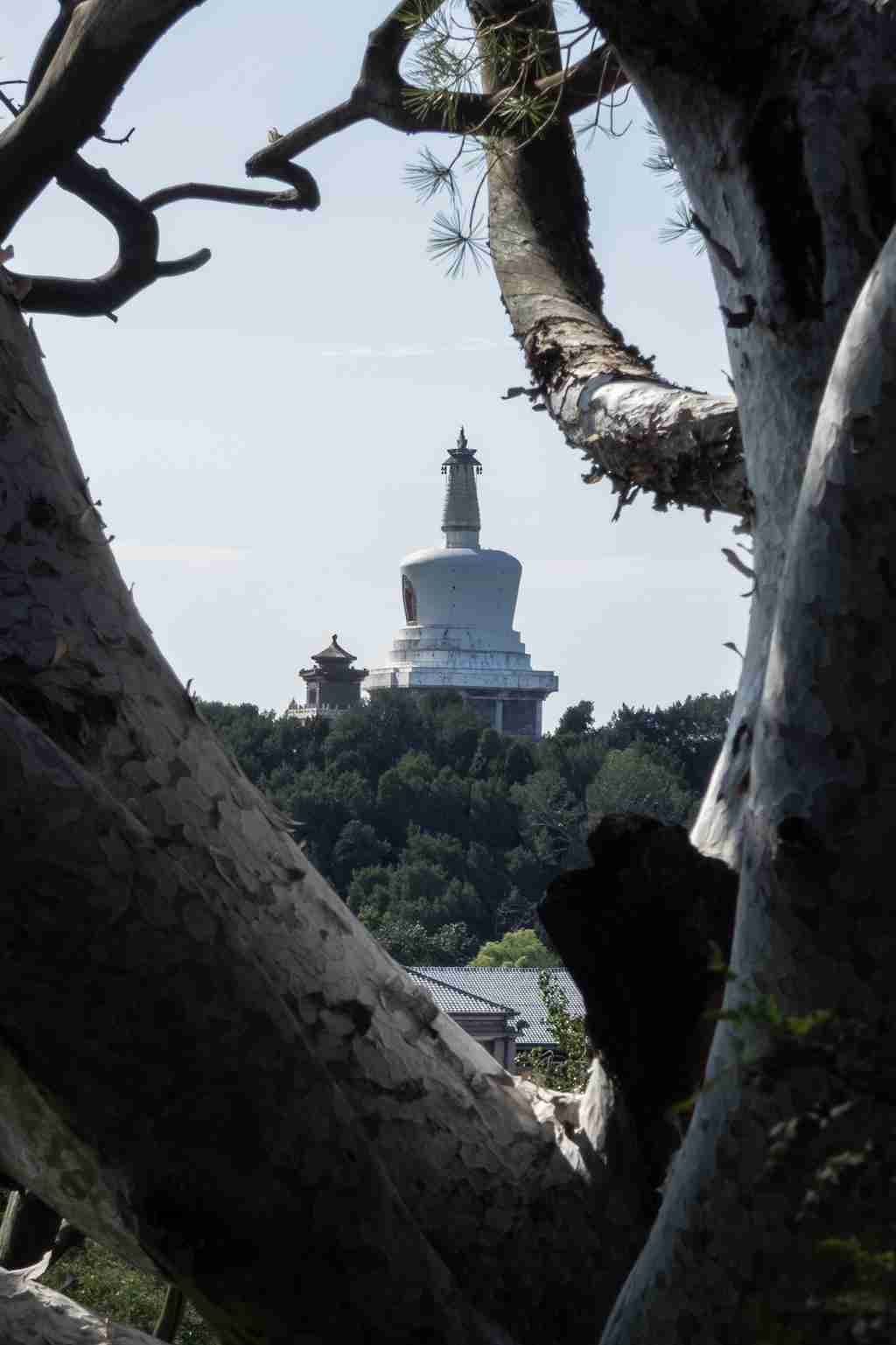 20-1200mm、60 倍超级变焦 松下 LUMIX FZ80D 桥式相机拍摄体验