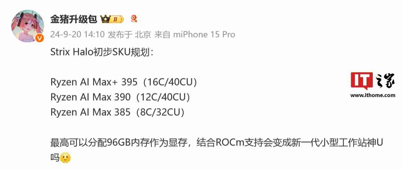 AMD Strix Halo 处理器初步型号规划曝光,最低 8 核 CPU + 32CU GPU
