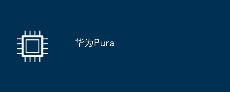华为Pura