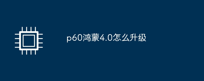 p60鸿蒙4.0怎么升级