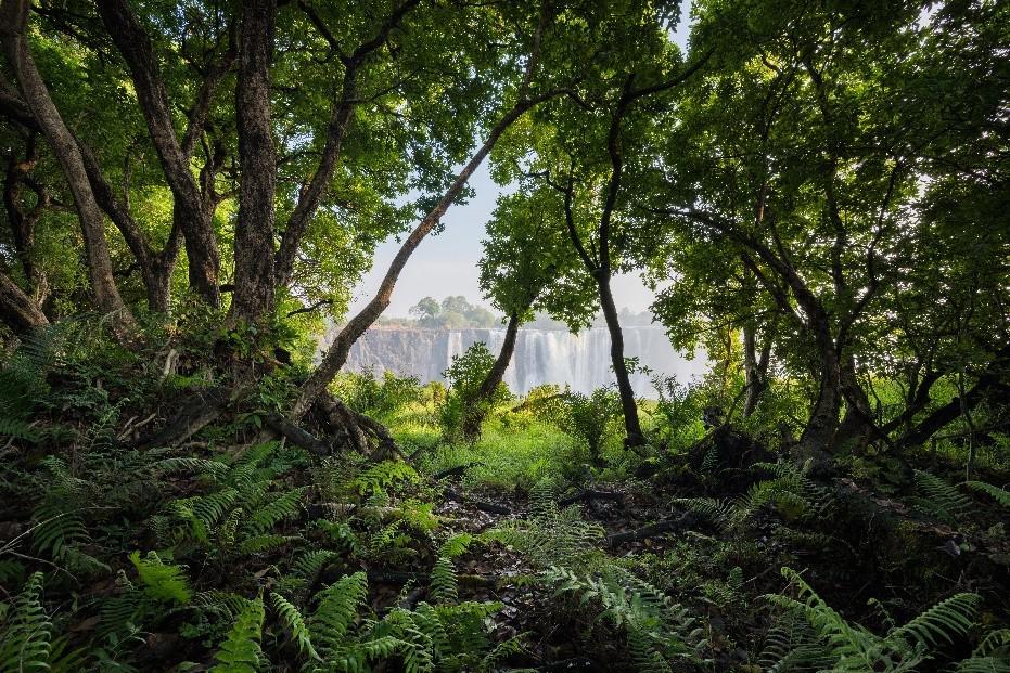 莫负夏日好风光  尼康精选佳作带你玩转这个夏天 