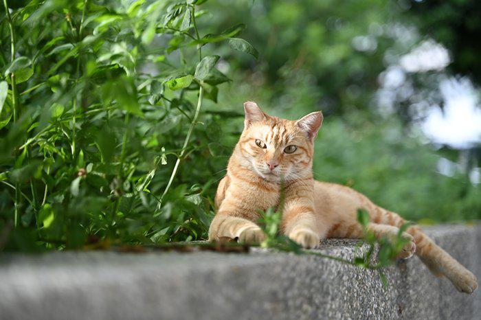  莫负夏日好风光  尼康精选佳作带你玩转这个夏天 
