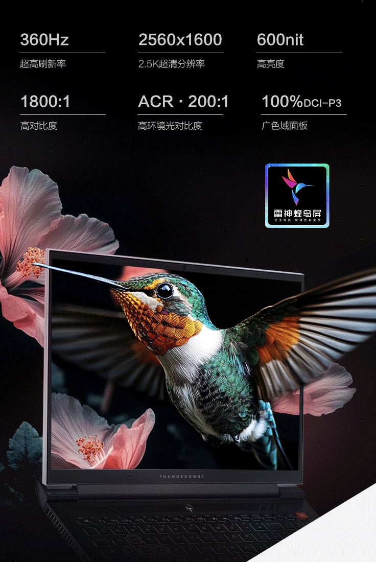 雷神 Zero 2024 16 英寸游戏本新增“i9-14900HX + 32G + 1T + RTX4070”配置售 11499 元