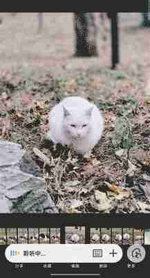  三款中端手机推荐，AI 体验堪比旗舰机 