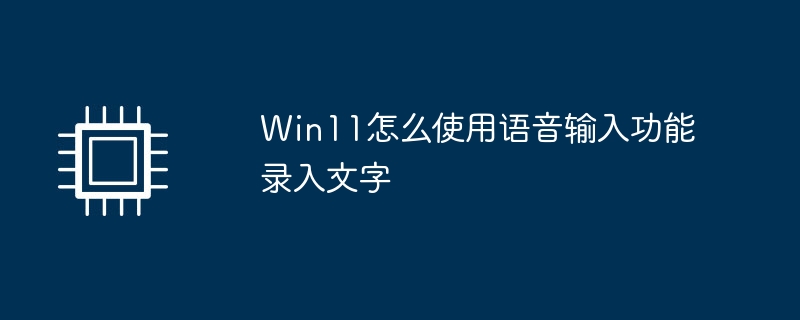 Win11怎么使用语音输入功能录入文字