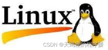 第一章:软件工程师必备的硬件基础