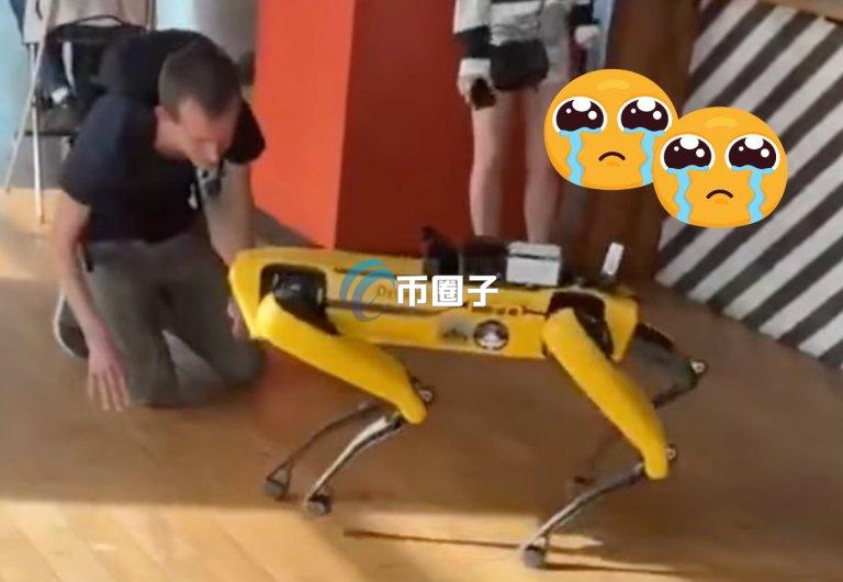 V神对机器人喵喵叫引热议