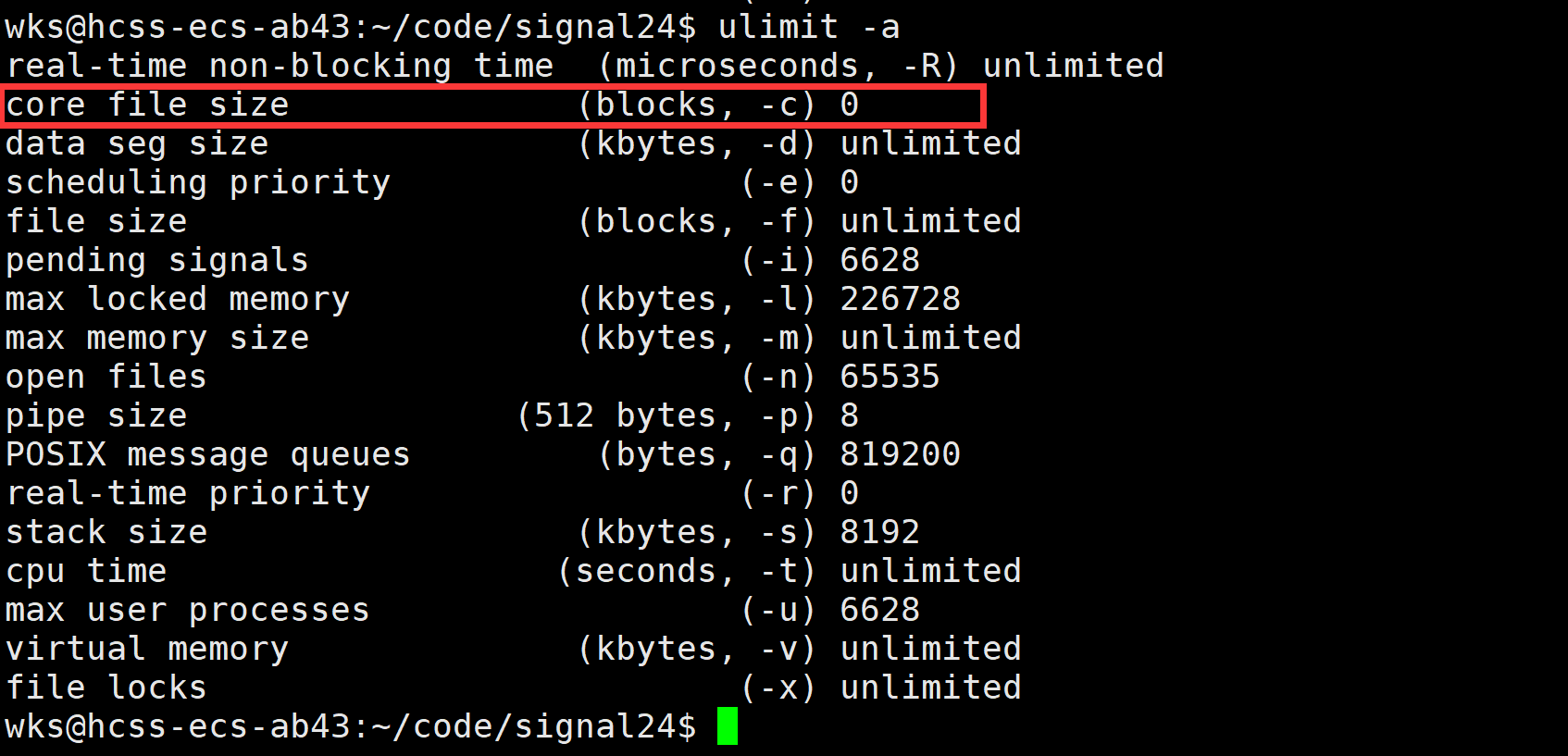 【linux学习指南】Linux进程信号产生(三) 硬件异常&&除零出错？&&野指针异常？&&core文件