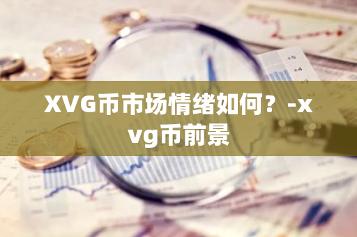 XVG币市场情绪分析：隐私币的前景与影响因素