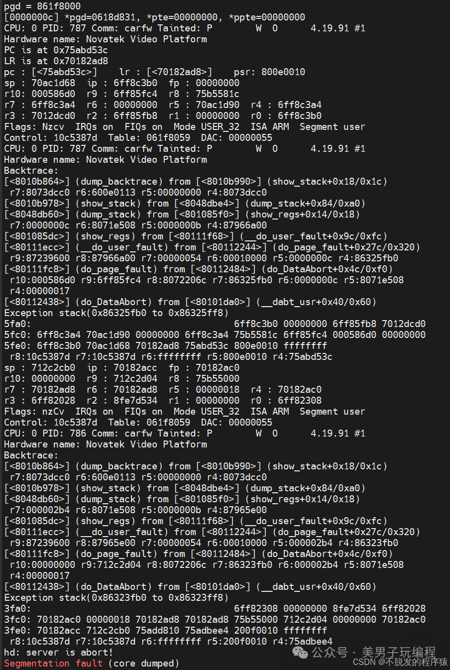 SoC出现段错误，如何快速定位到故障函数？