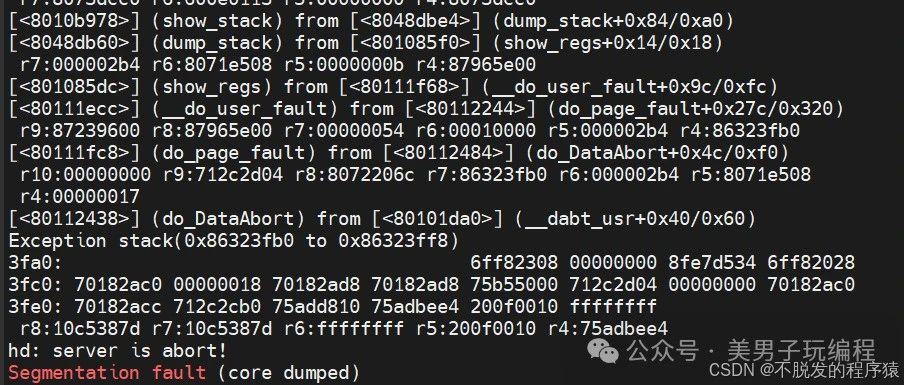 SoC段错误？手把手教你快速定位故障函数！