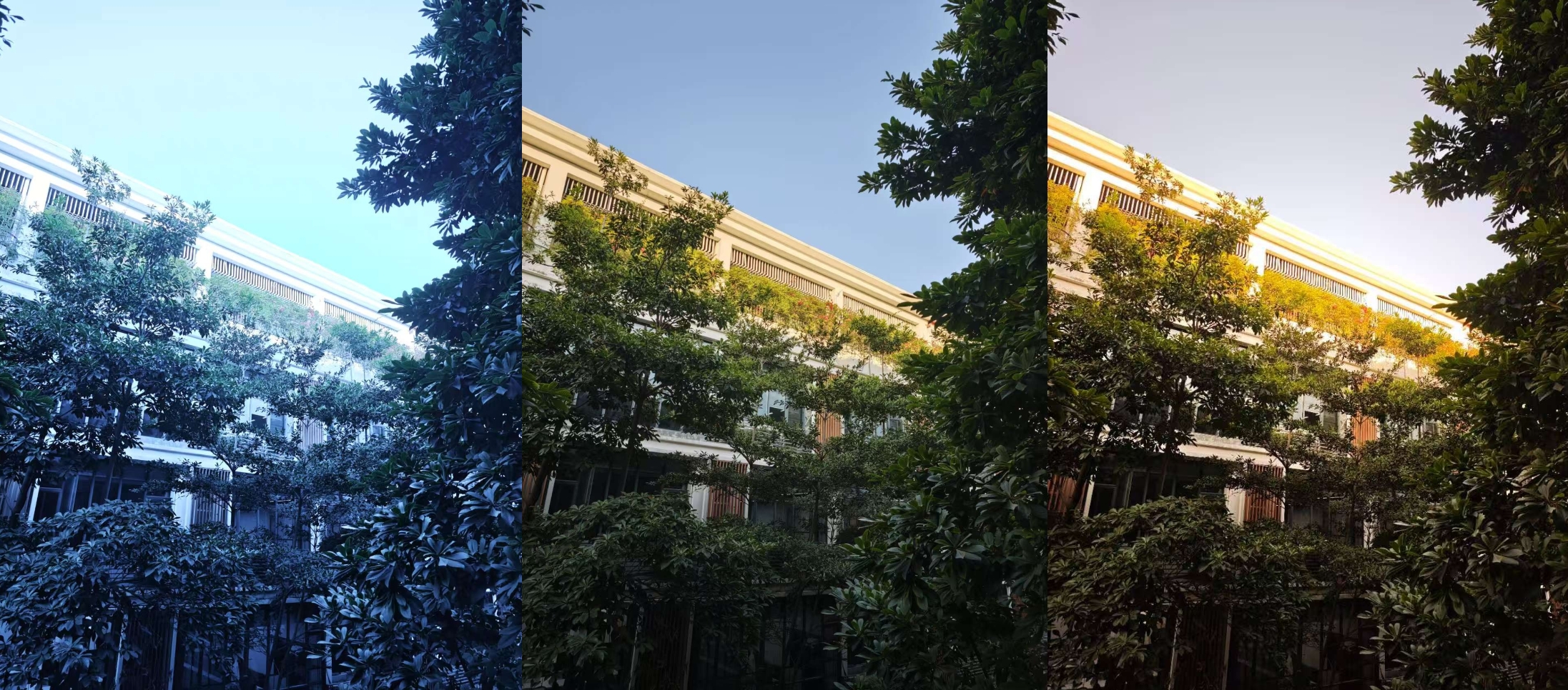 手机拍照专业模式大横评：米OV各有神通，AI真的能颠覆专业吗？