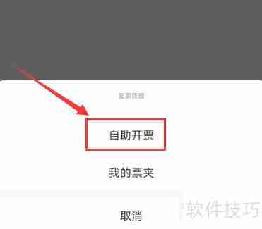 票易通开票流程指南