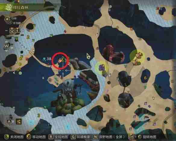 怪物猎人荒野金鱼在哪里