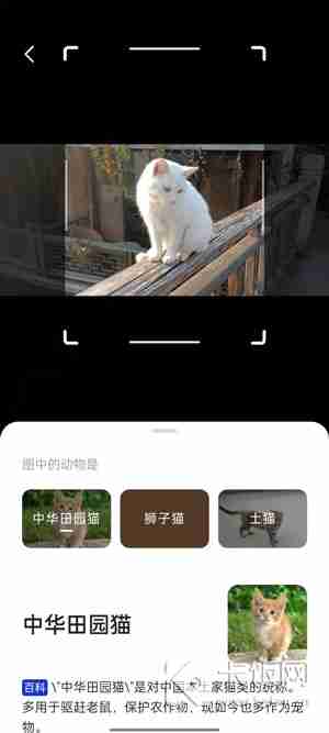 夸克AI相机在哪里