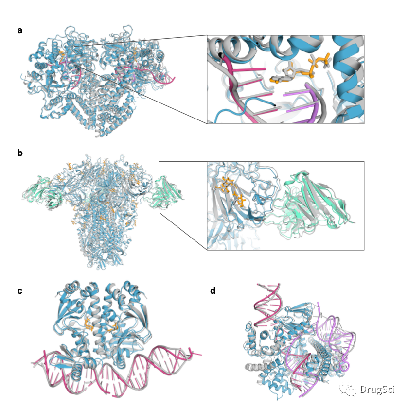 榕树集–AlphaFold的更新