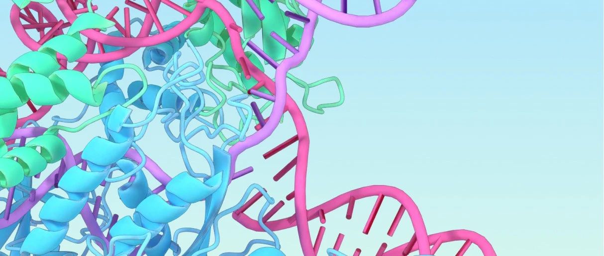 榕树集AlphaFold更新详解