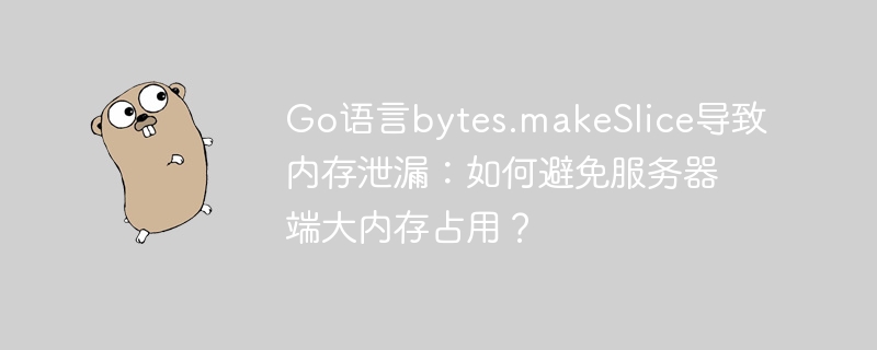 Go语言bytes.makeSlice导致内存泄漏：如何避免服务器端大内存占用？