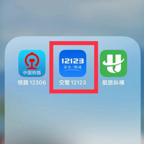 交管12123如何查电子行驶证