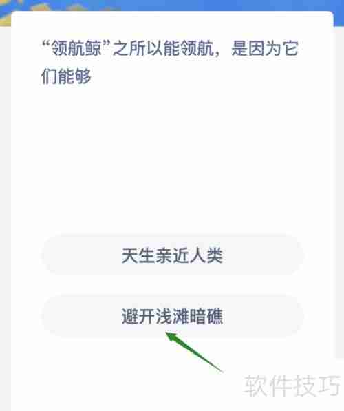 领航鲸之所以能领航是因为它们能够感知地球磁场