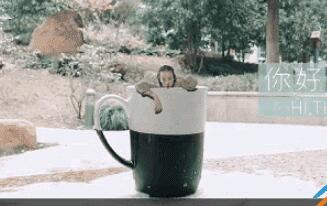 抖音跳进水杯特效怎么录？详细教程来了