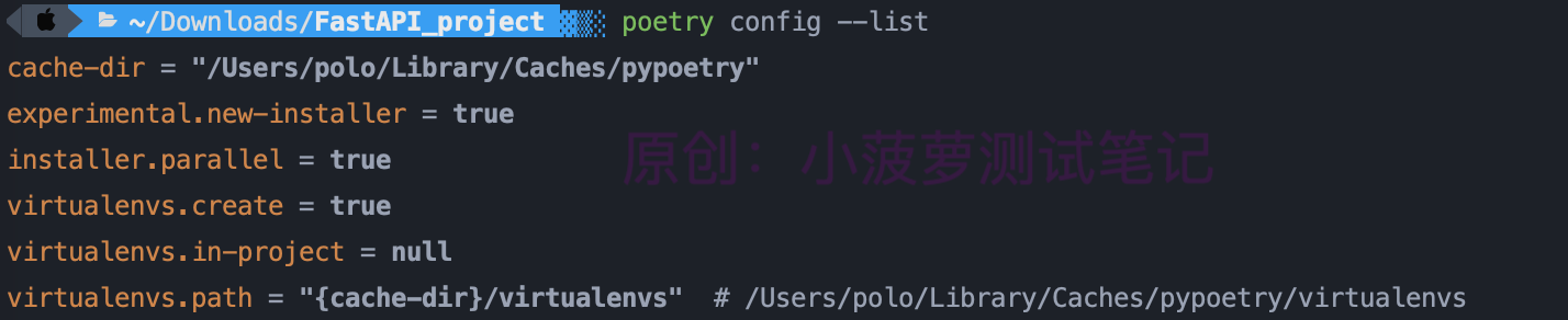 Python - poetry(3)配置项详解
