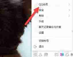 QQ会员申请退款流程-QQ会员如何办理退款