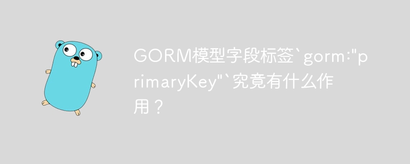 GORM模型字段标签`gorm: