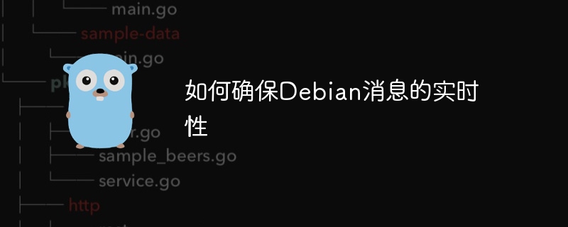 如何确保Debian消息的实时性