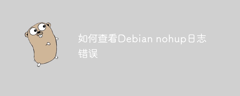如何查看Debian nohup日志错误