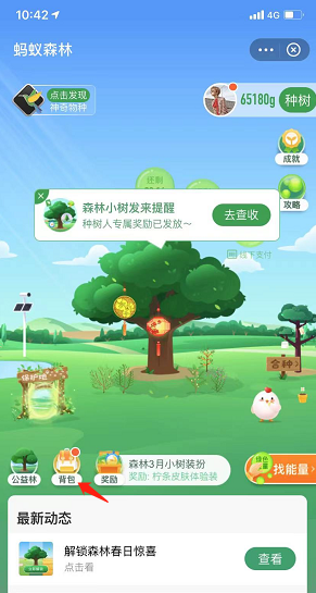 蚂蚁森林背景如何切换