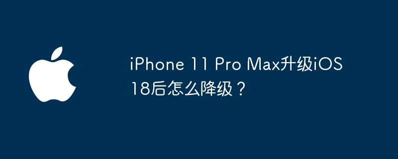 iPhone 11 Pro Max升级iOS 18后怎么降级？
